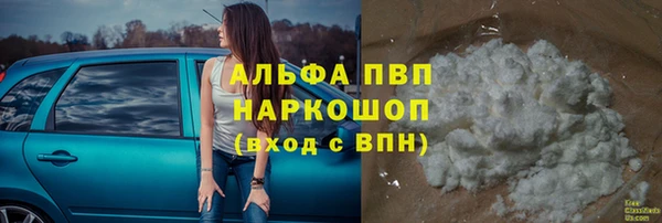 винт Лагань
