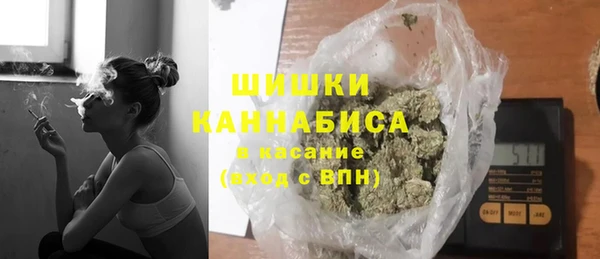 крисы Новодвинск