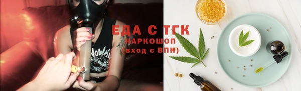 винт Лагань