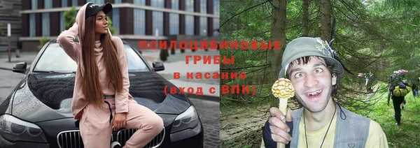 винт Лагань