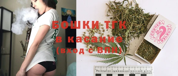 винт Лагань