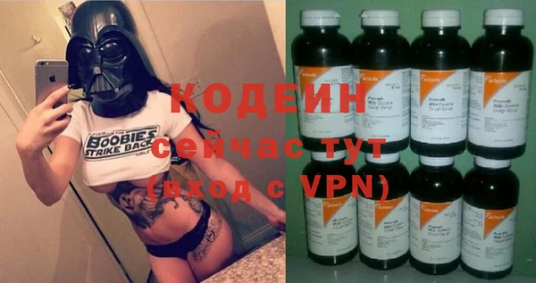 винт Лагань