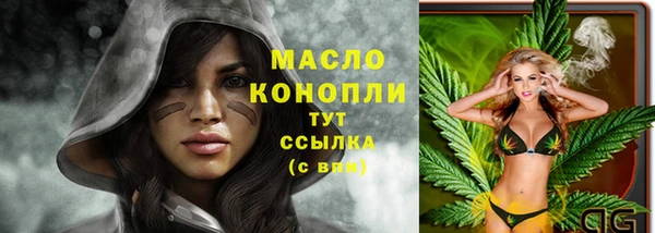 винт Лагань