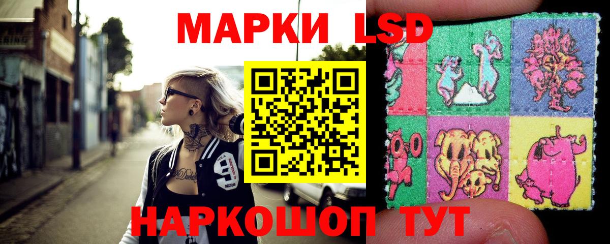 COCAIN Новочеркасск